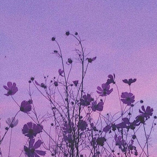 Susan Wang
