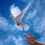 User name image