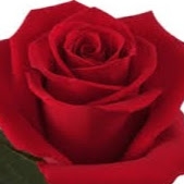 Dipak Deb