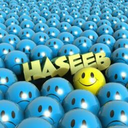 Haseeb Rajput
