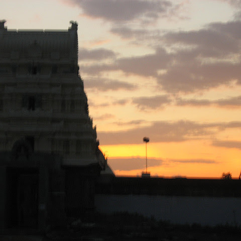 Kumar Raja