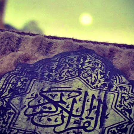 Yehya Aqis