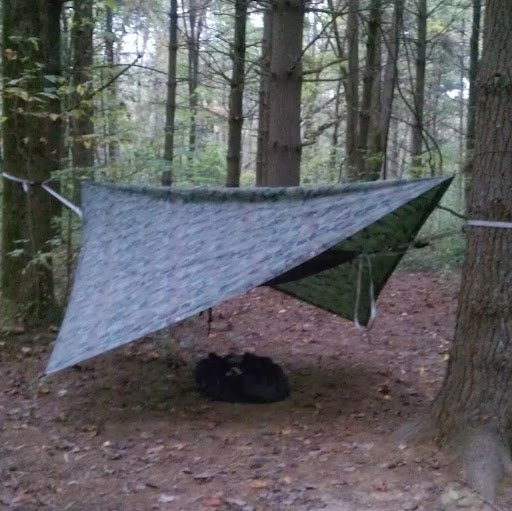 wildernesspath1