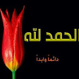 Amjed Abubker