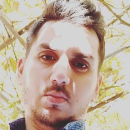 Navid Bozorg Omid