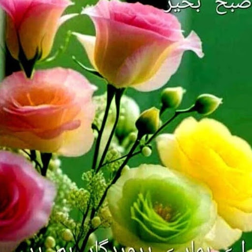 Abdul Hameed khatti
