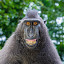 User name image
