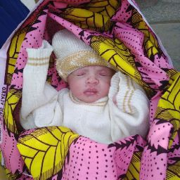 Umar Idris