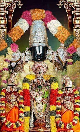 Dharshani M
