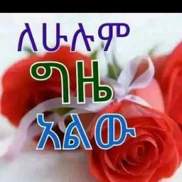 ib Am