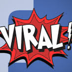 only viral feed