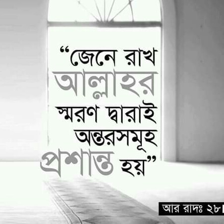 Md Touhid Sorkar