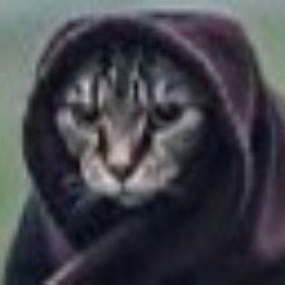 avatar
