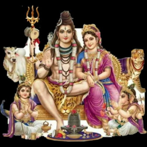 Ritu Singh Rathore