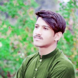 Waheedullah Qalamyar