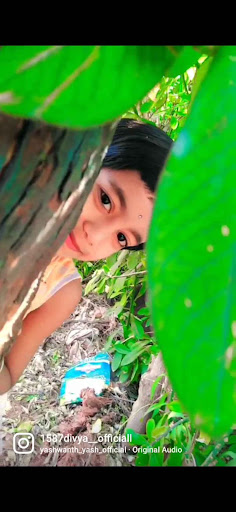 Veena B A
