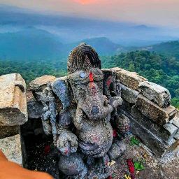 author