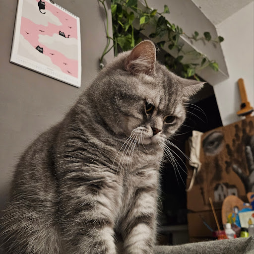 avatar