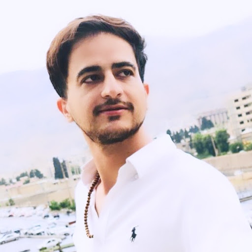 mehran mahdavi