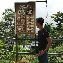 avatar