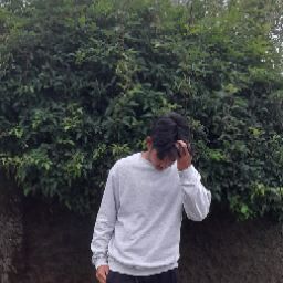author