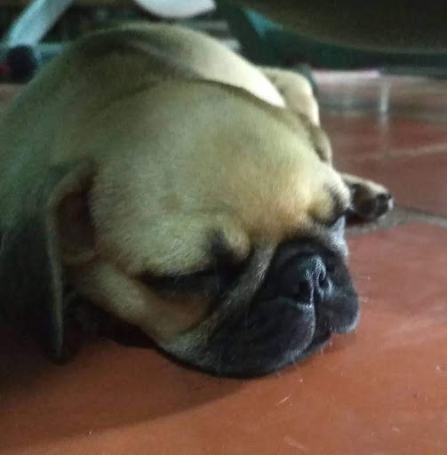 Minh Quốc Tăng Lý