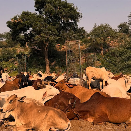 PRIYANKA Chakraborty