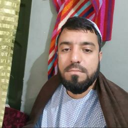 wali Majidi
