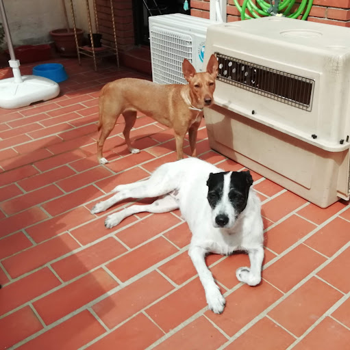 Aracely CIRUJANO DE LA FUENTE