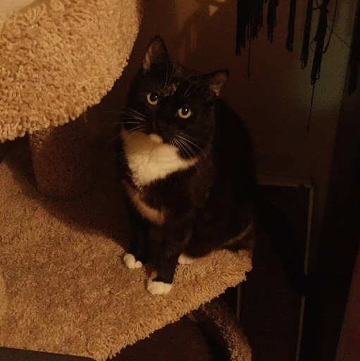 Crystal Marie Patterson