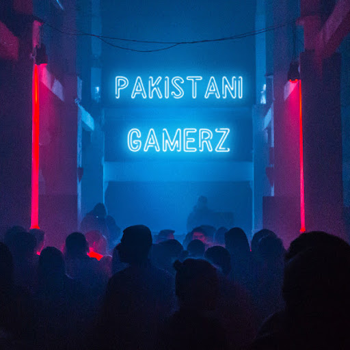 Pakistani Gamerz