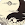 A Short