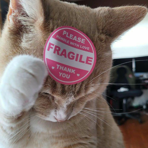 Gale Blader (Duskriver)