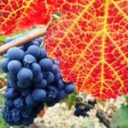 JR, MeetTheRobinsons