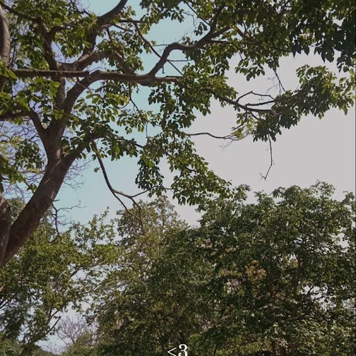 Kanak Raghuvanshi