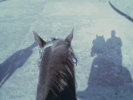 Hemlar Henirch