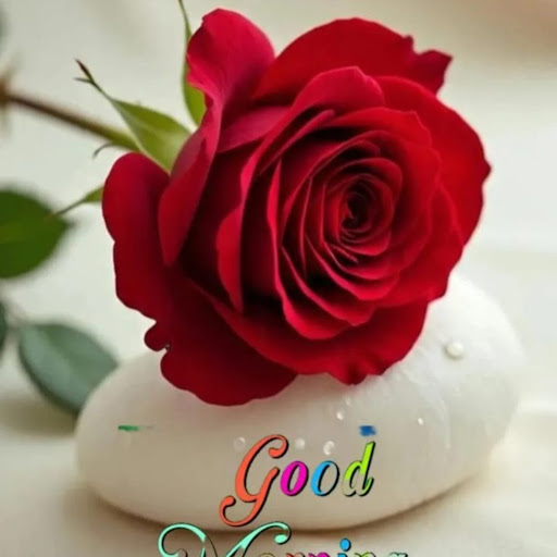 Ruhi Waseem