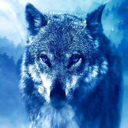 Виталий Герман