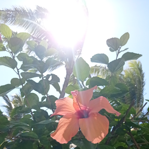 Aurelien Raphaël Regnaud