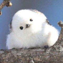 내가 너의 냉장고를 훔칠거야