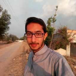 Omar Awan