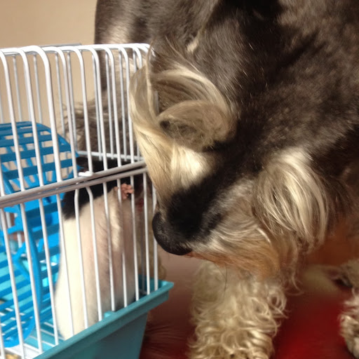 Mari Baigorria (Mari)