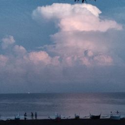 Monica Ashlyn De Von