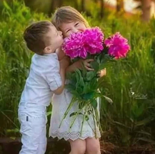 fouad sima