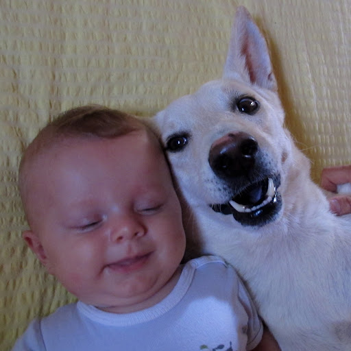 Adam Andrews (Underwater Adventures)