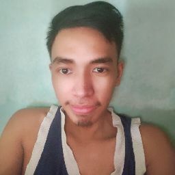 Garciano Joshua Aristotle