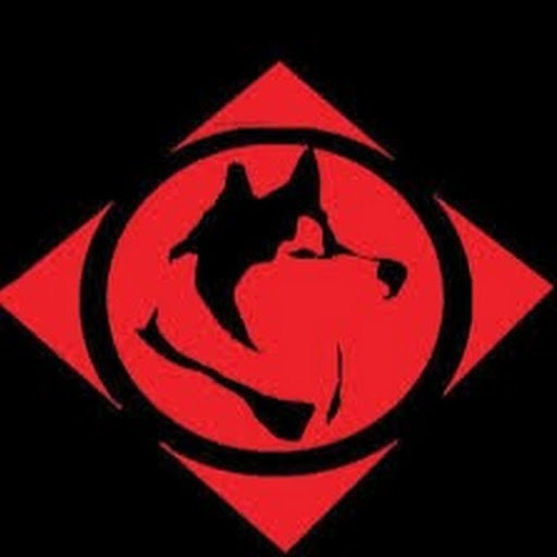 Lexus Sellars (York Reviewer)