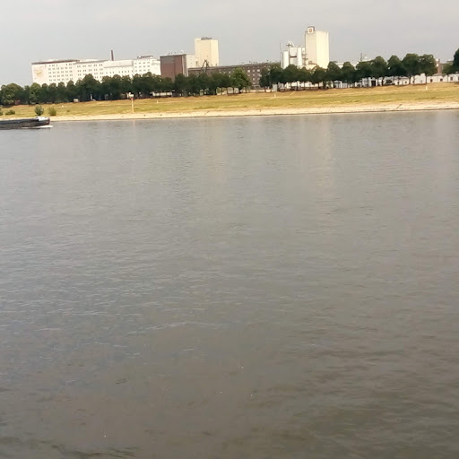 tamsir badjie (Junior beres)