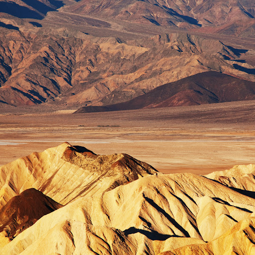 Muhammed Rameez Moopantakath