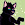 Mr. Meow